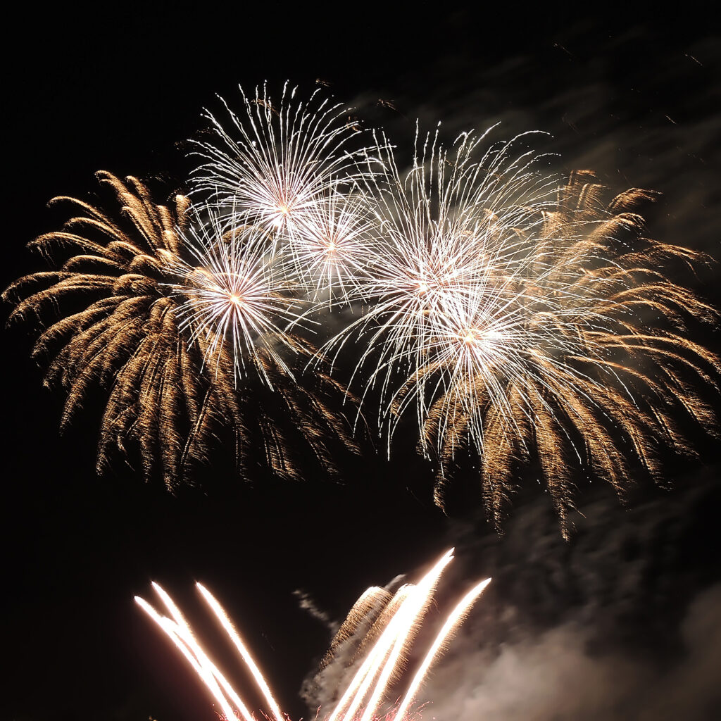 Fireworks in the night sky.