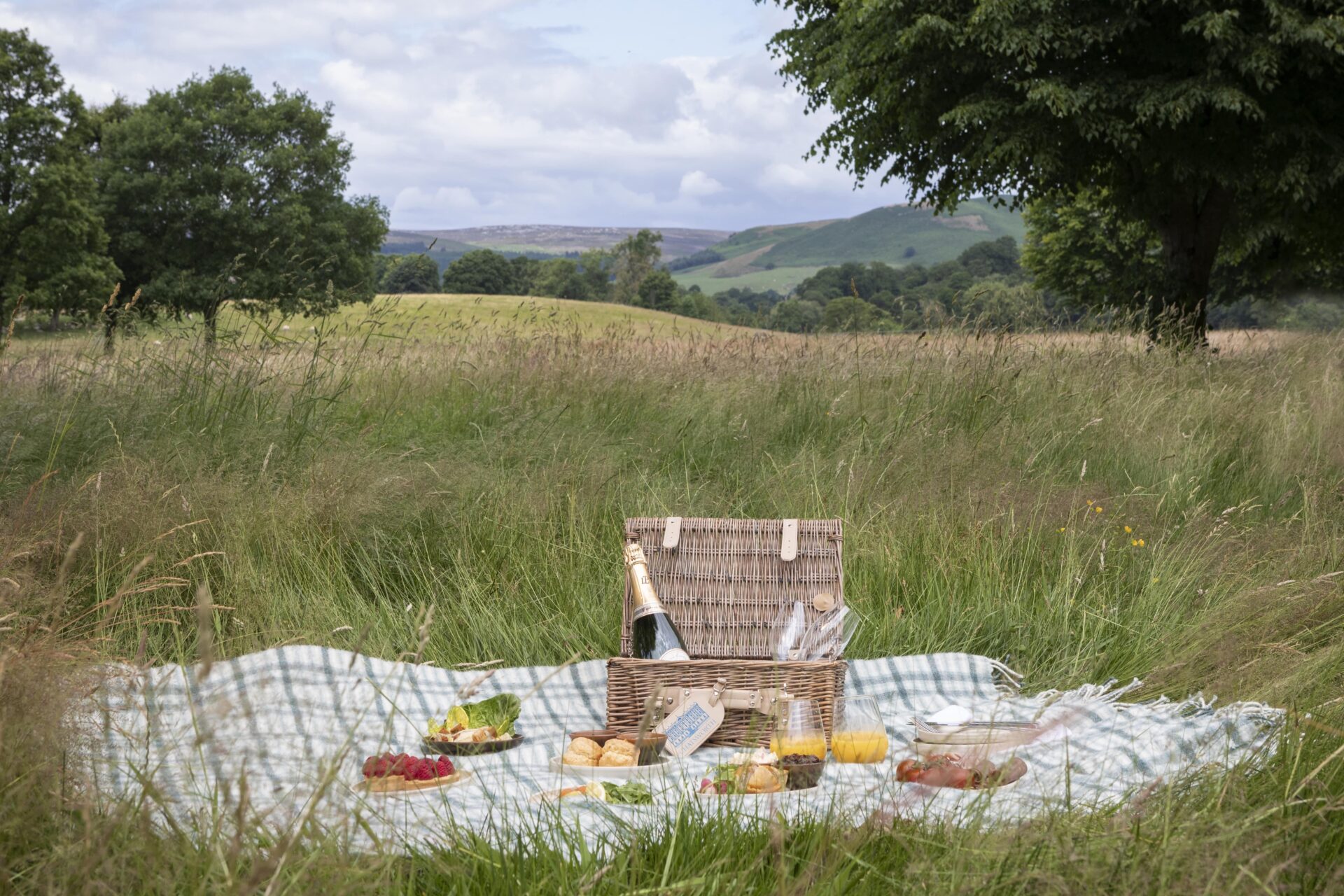 A picnic in the long grass with lots of food out on a checked blanket, with the countryside and trees behind.