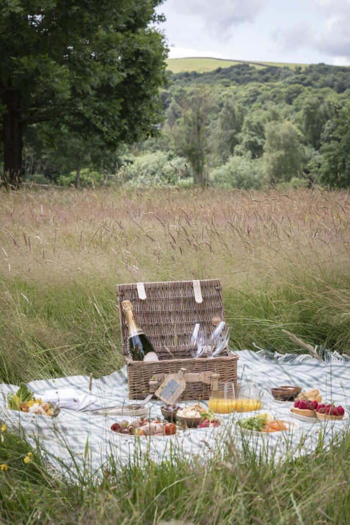 A picnic in the long grass with lots of food out on a checked blanket, with the countryside and trees behind.