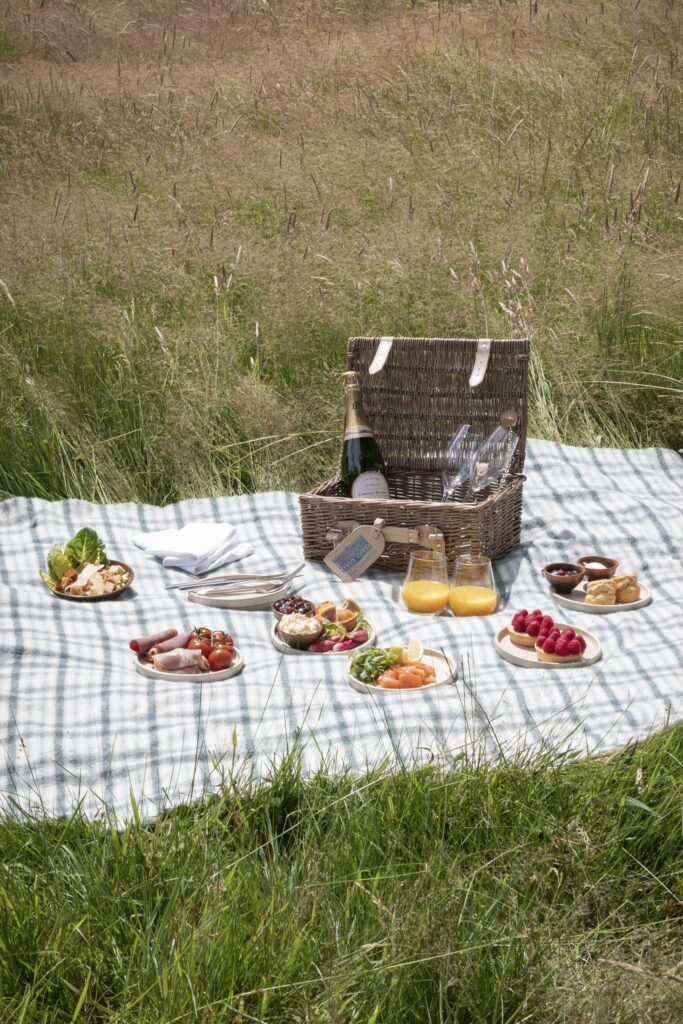 A picnic in the long grass with lots of food out on a checked blanket, with the countryside and trees behind.